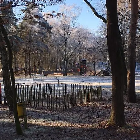 Vosseven 77 Stramproy