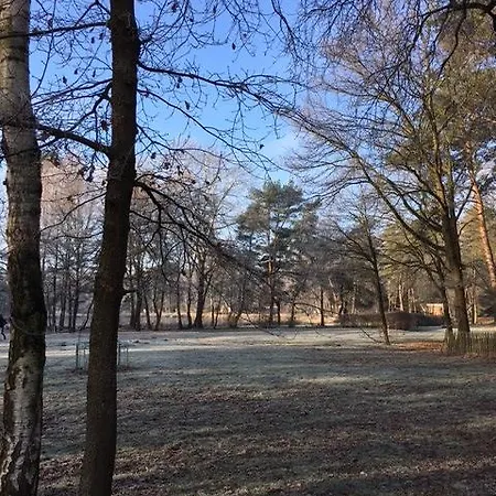 Vosseven 77