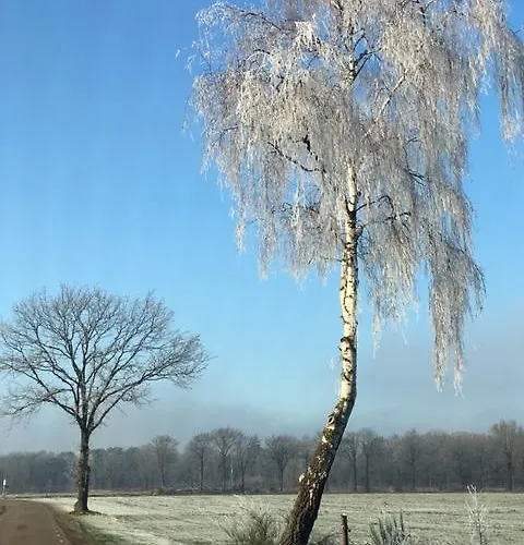 Vosseven 77 別荘 Stramproy