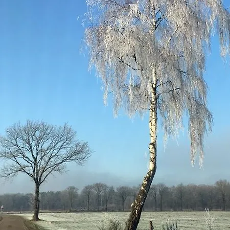 Vosseven 77 Nyaraló Stramproy